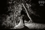 A Bride and Groom stand, backlit at night beside two trees at the Maryborough Hotel and Spa in Cork, Ireland