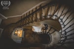 A bride and groom walk down the ornate staircase in the Maryborough Hotel in Cork, Ireland