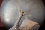 Castlemartyr Resort Wedding Photographs