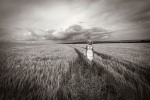 077_Bride-in-a-corn-field