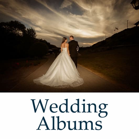 02. Center Widget Wedding Albums 1