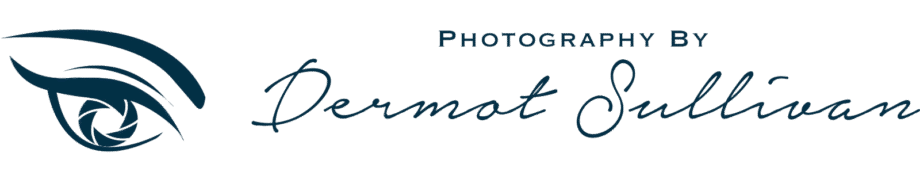 dermot web banner Edited